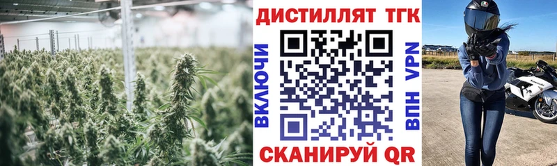 где продают наркотики Сасово Дистиллят ТГК гашишное масло